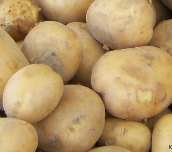 Cookit - przepis na Przechowywanie ziemniaków