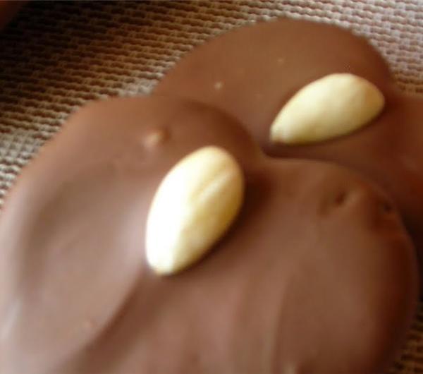 nazwa