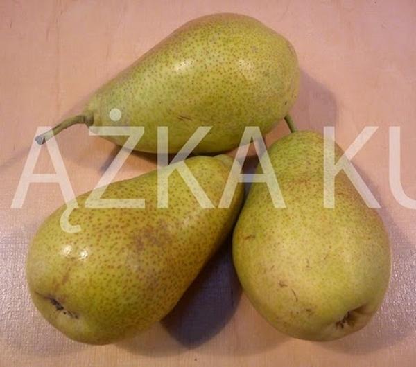 nazwa