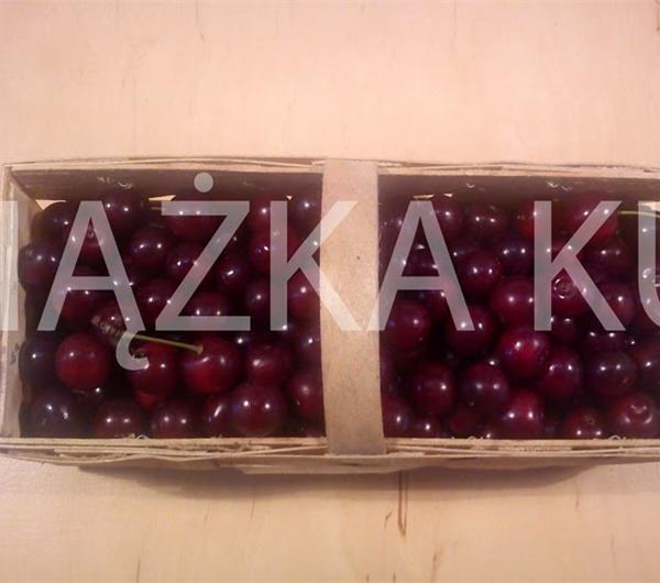 nazwa