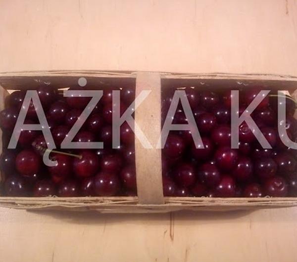 nazwa