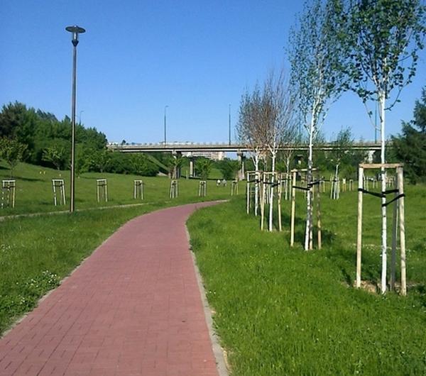 nazwa