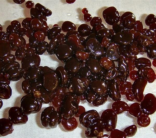nazwa