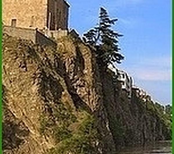 nazwa
