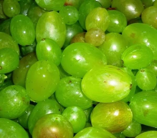 nazwa