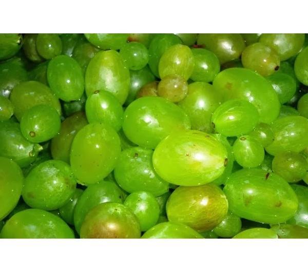 nazwa