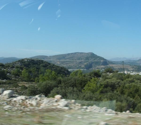 nazwa