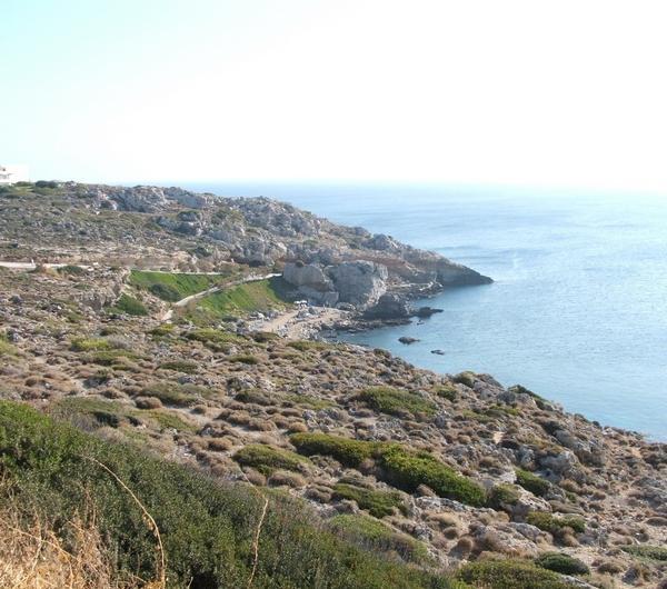 nazwa