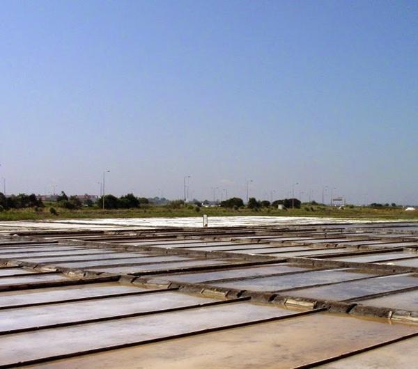 nazwa