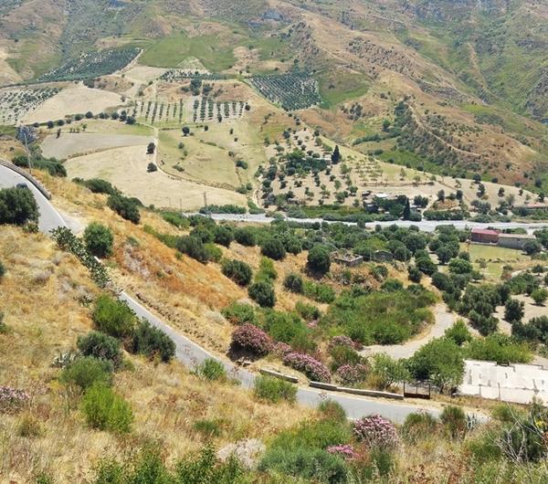 nazwa