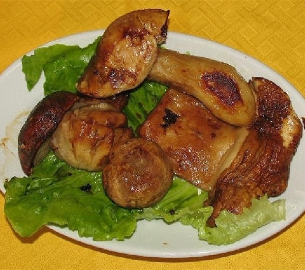 nazwa
