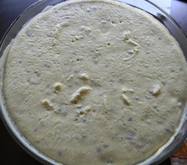 nazwa