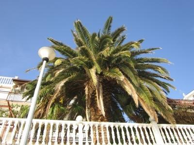 nazwa