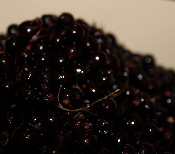 nazwa