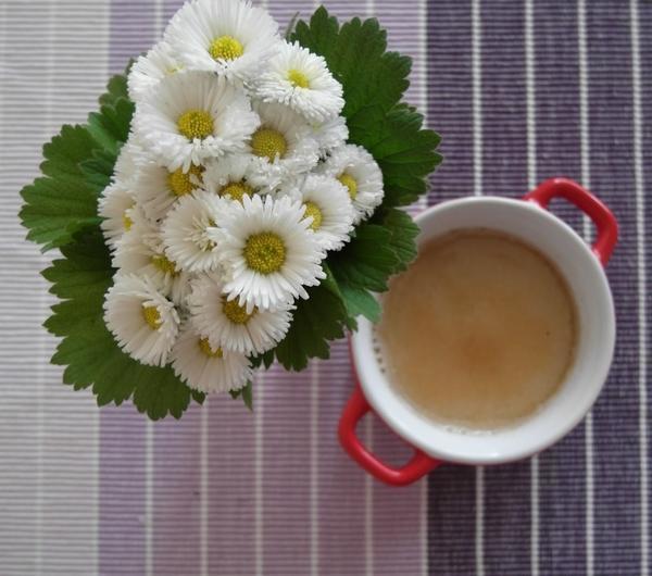 nazwa