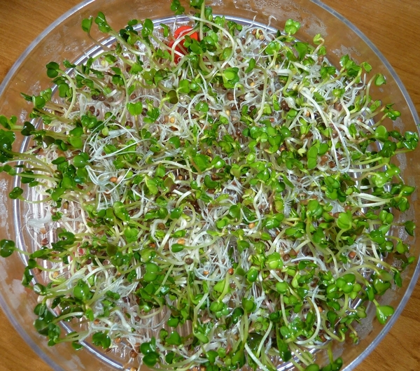 nazwa