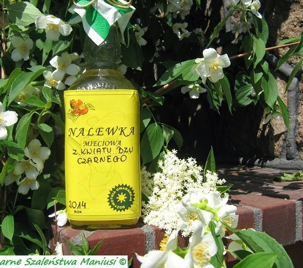 nazwa