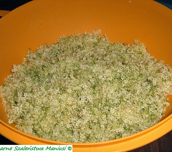nazwa