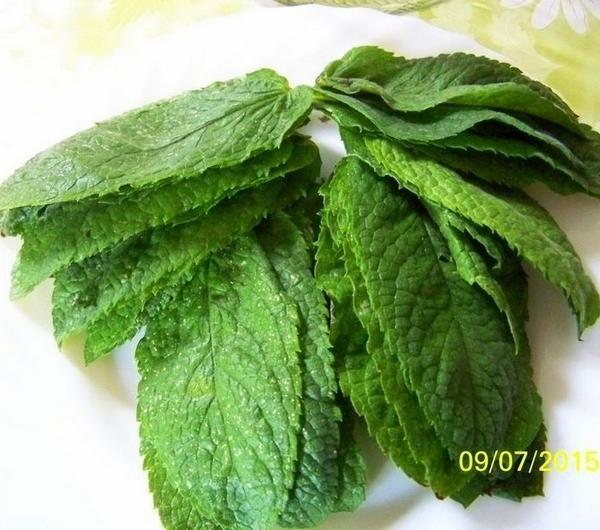nazwa
