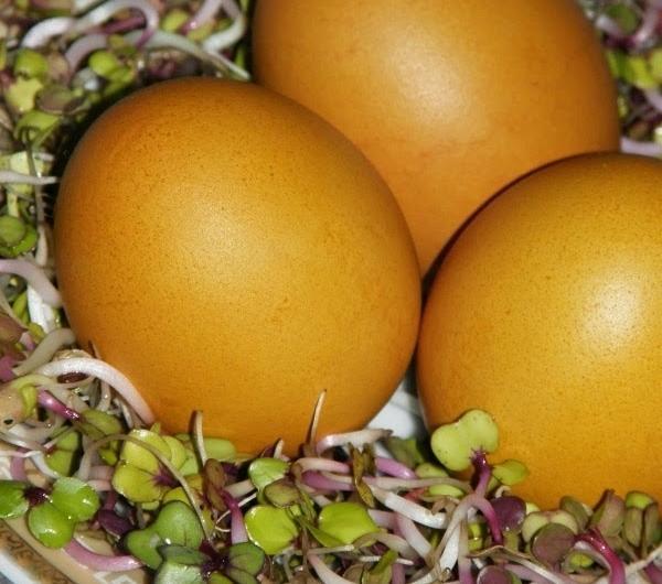 nazwa