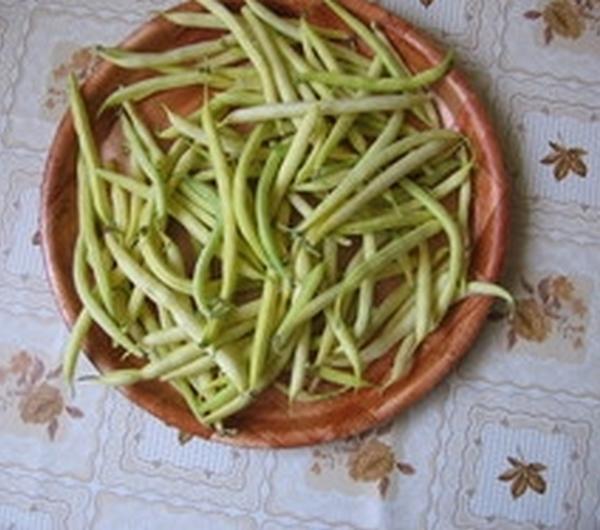 nazwa