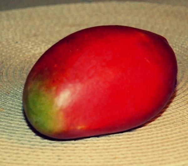 nazwa