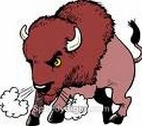 nazwa