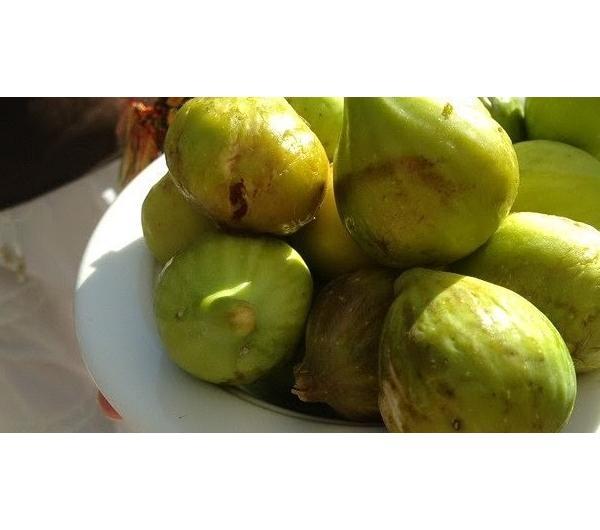 nazwa