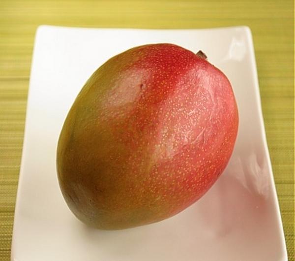 nazwa