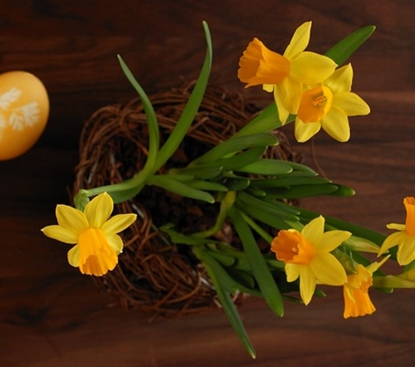 nazwa