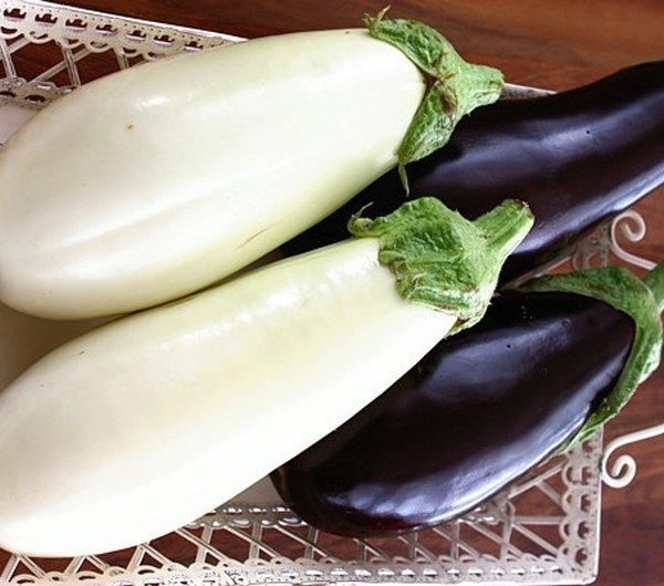 nazwa
