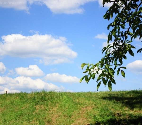 nazwa