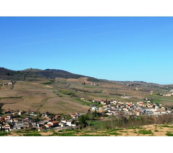 nazwa