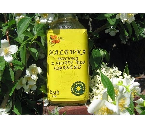 nazwa