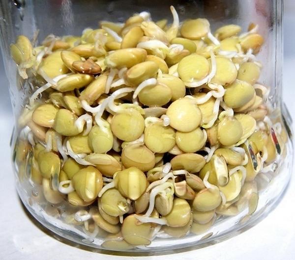 nazwa