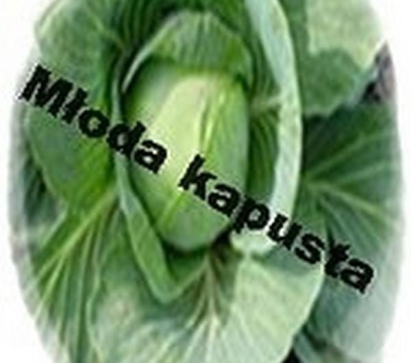nazwa